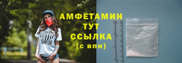 молекула духа Кулебаки