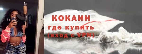молекула духа Кулебаки