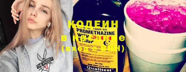 молекула духа Кулебаки